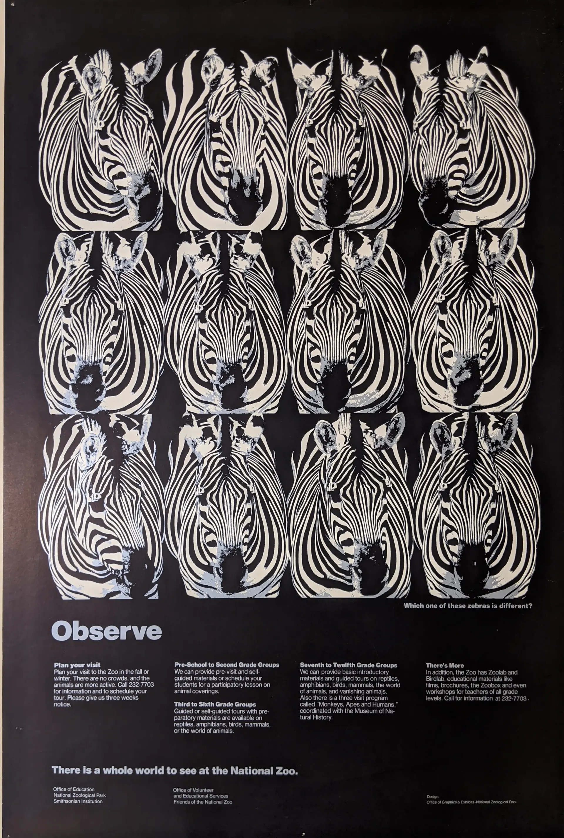 Observe — National Zoo zebra poster (4x4 repeating zebra heads)