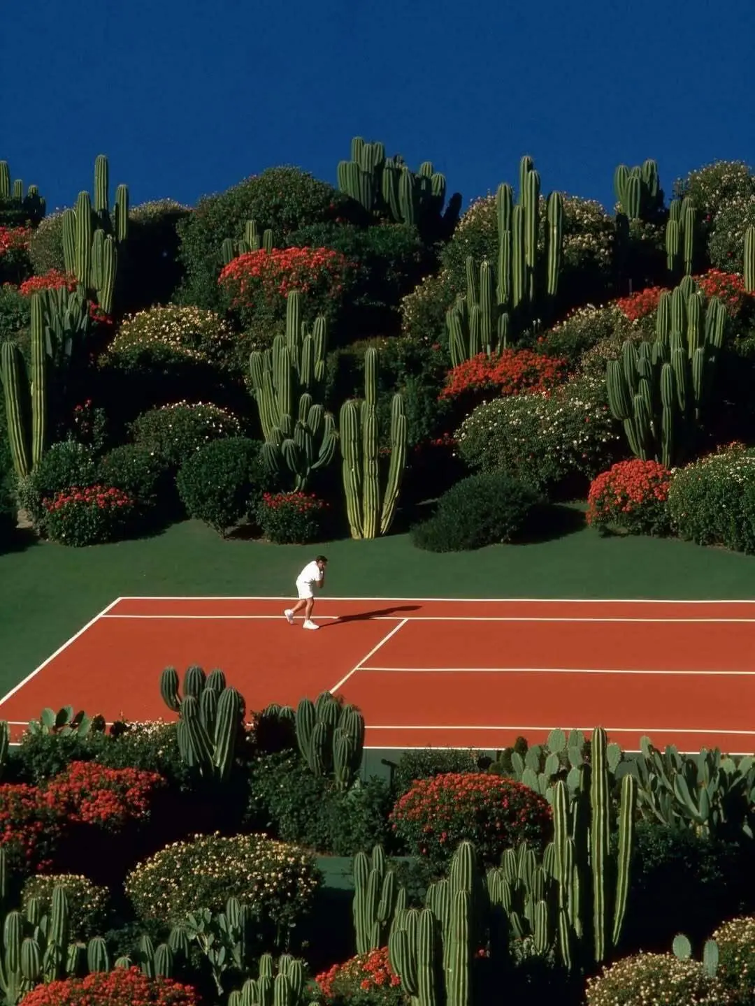 Red Tennis Court Framed by Cactus Garden and Flowering Shrubs
