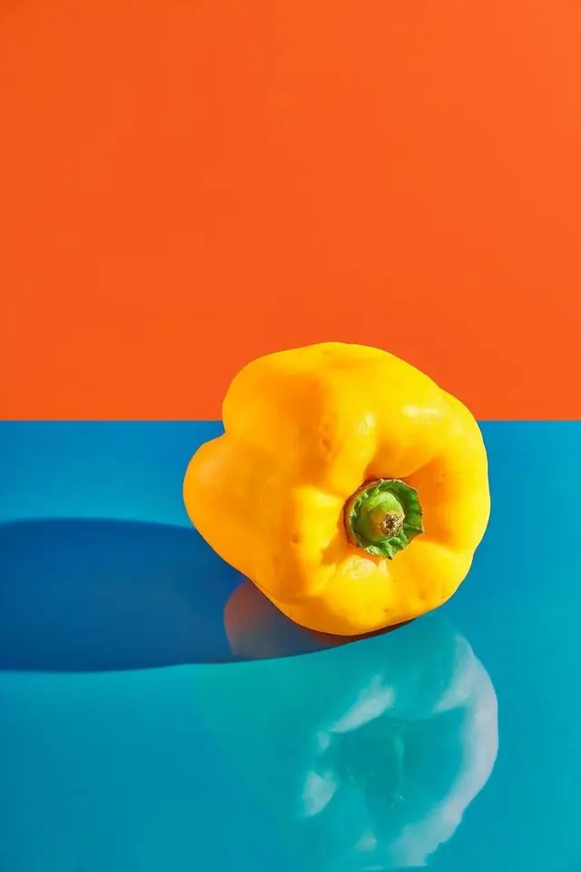 Yellow bell pepper on teal reflective surface with orange backdrop