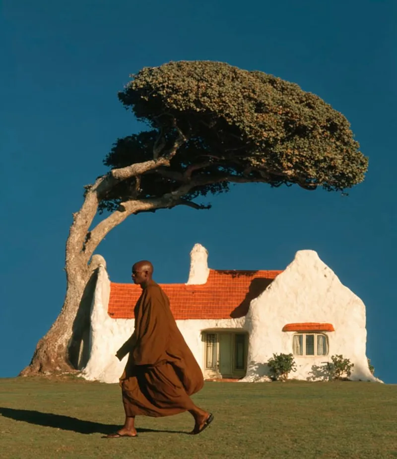 Monk walking past white stucco cottage with terracotta tile roof and sculptural tree