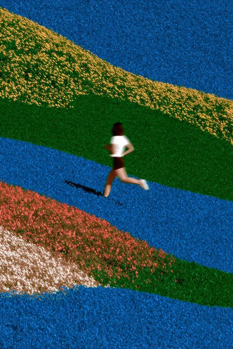 Aerial view of runner across striped flower and turf bands