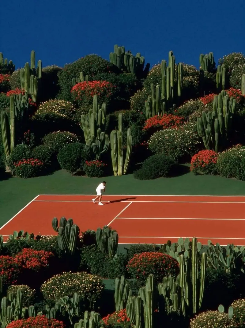 Red Tennis Court Framed by Cactus Garden and Flowering Shrubs