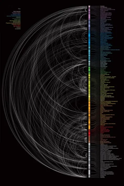 Semi-circular chord diagram with vertical rainbow legend on black background