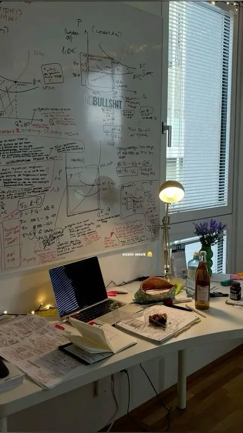 Cluttered study desk with whiteboard full of graphs and a 'NOBULLSHIT' sticker
