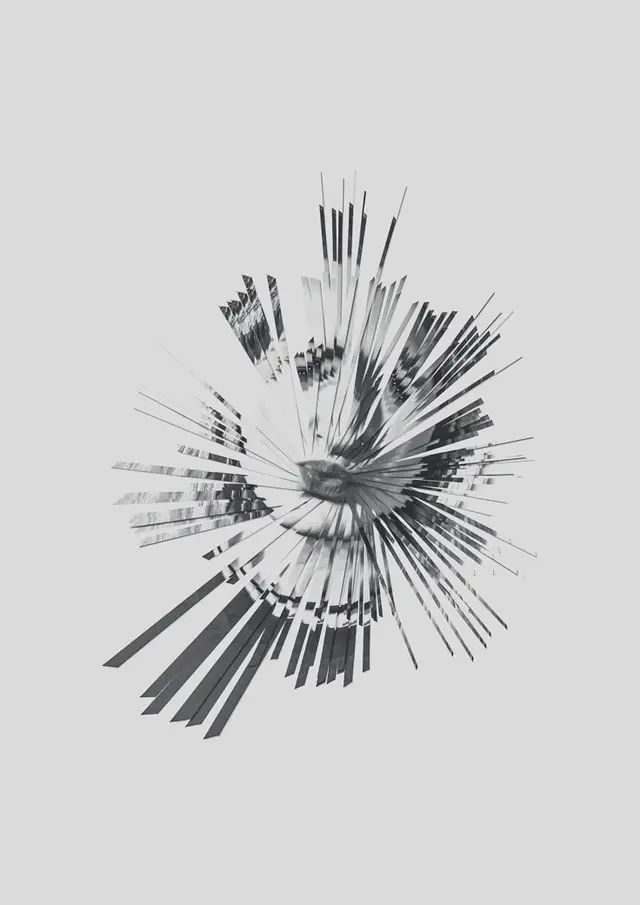 Monochrome Radial Glitch Portrait — Abstract Fragmentation