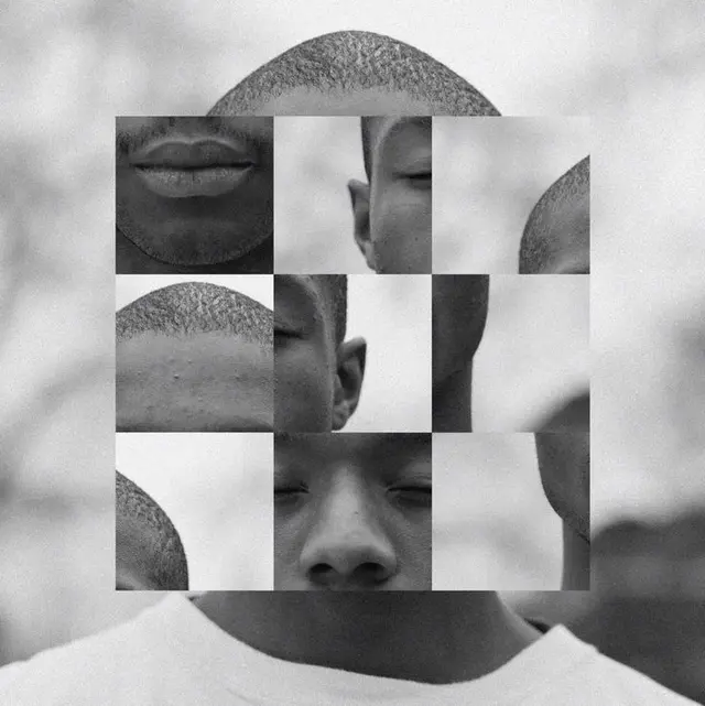 Fragmented Black-and-White Portrait — 3x3 Face Grid Photomontage