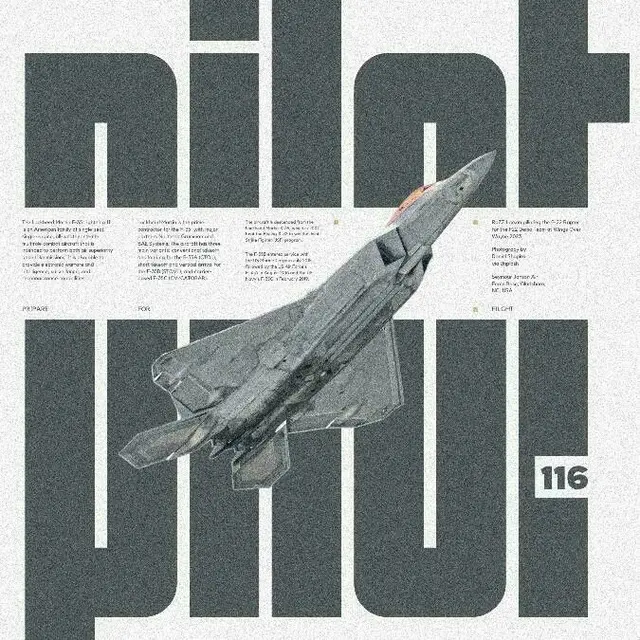 Pilot — Magazine-style Aviation Poster (116)