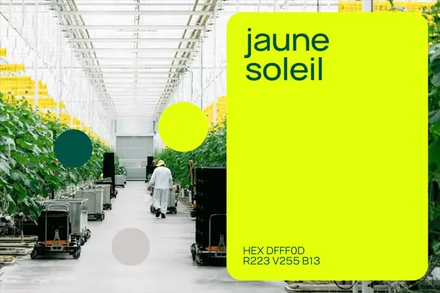Toundra — greenhouse logo and identity by LG2 (geometric and rounded wordmarks)