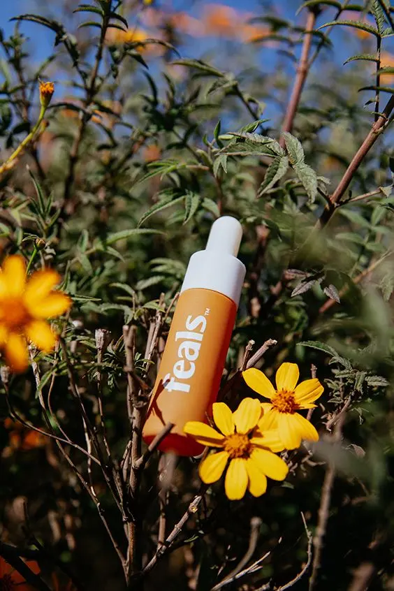 Feals product lineup: microdose CBD + THC tincture, gummies, pouches and capsules