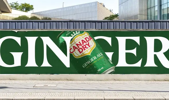 Wedge refresh for Canada Dry — archival shield logo on green can