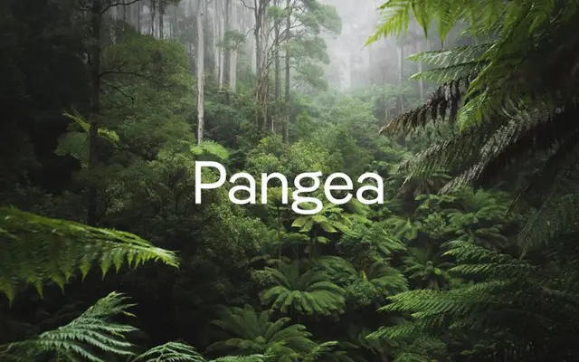 Pangea — Typeface promotional image over rainforest (Gestalten)