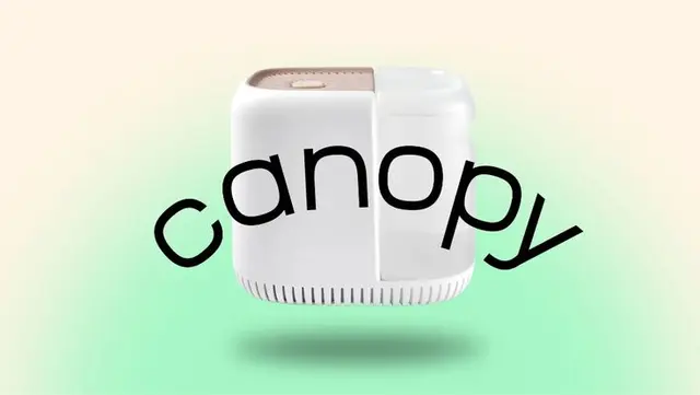 Canopy lifestyle shot — morning in loft bedroom (SMAKK Studios case study)