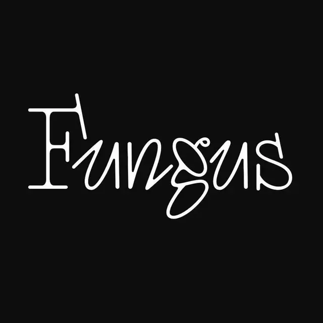 White hand-lettered "Fungus" wordmark on black background