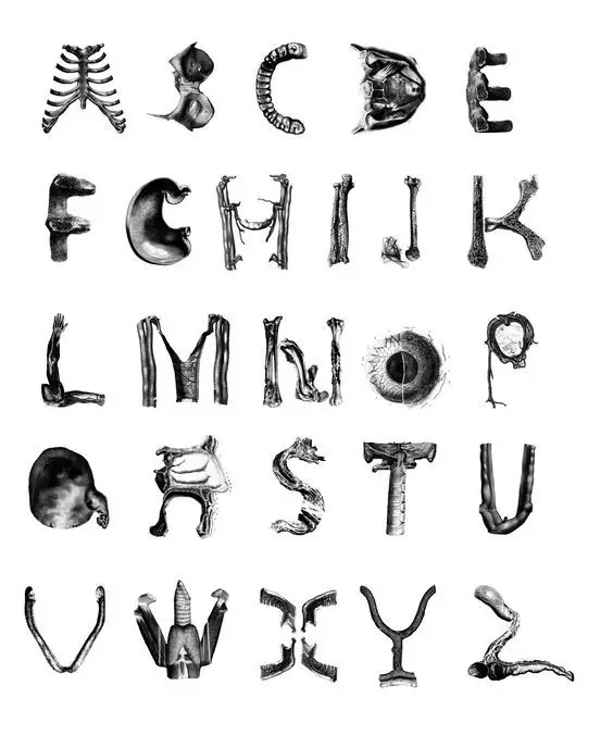 Anatomical Bone Alphabet — A–Z Typographic Illustration