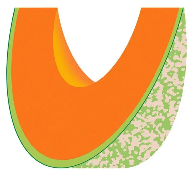 Layered U-shaped Orange and Green Abstract Illustration with Terrazzo Side