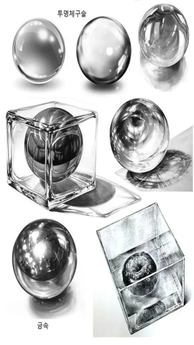 Grayscale study sheet of transparent and reflective spheres, cubes, and caustics