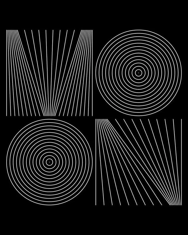 Monochrome geometric poster — concentric circles and radiating line quadrants (MOON motif)