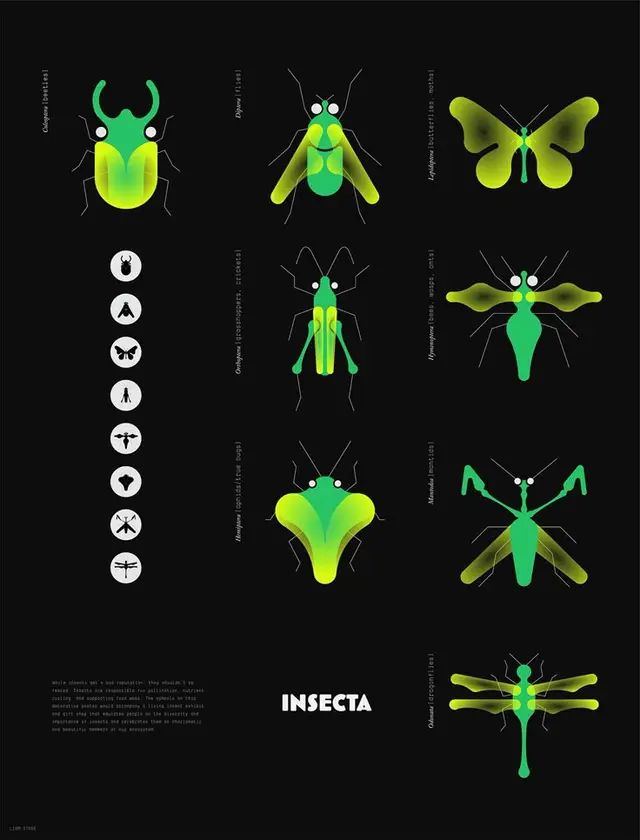 INSECTA — neon-green insect infographic poster