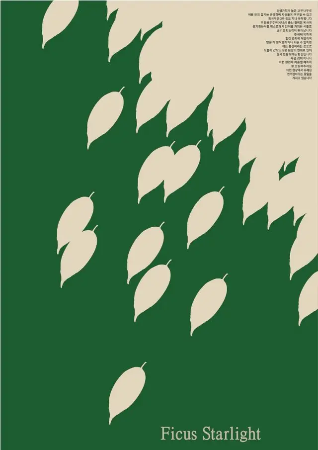 Ficus Starlight — minimal botanical poster with leaf silhouettes