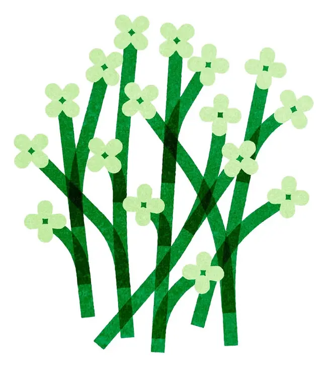 Translucent green paper‑cut wildflower collage on white