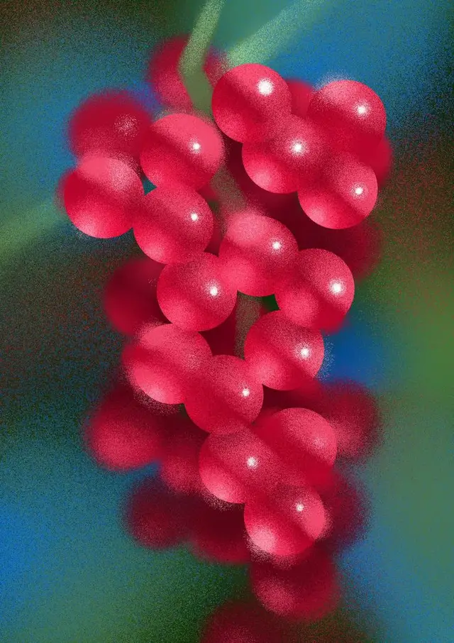 Stippled Red Grape Cluster — Digital Illustration
