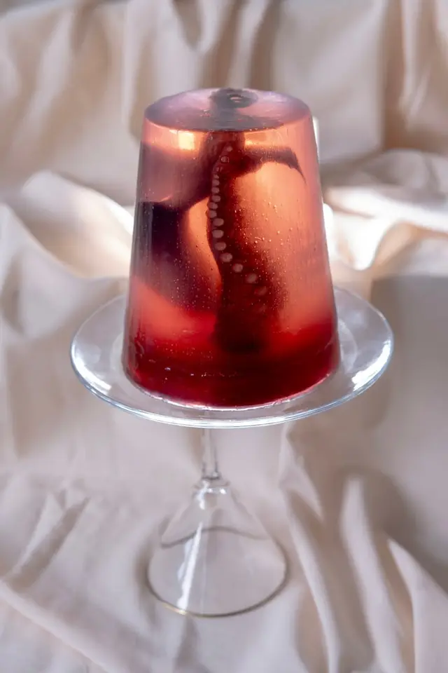 Translucent gelatin mold with octopus tentacle on glass pedestal