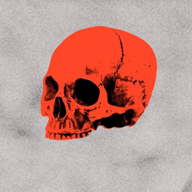 High-Contrast Red Skull Illustration on Textured Gray Paper