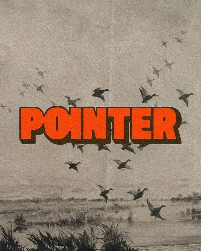 Vintage-style poster: "POINTER" over ducks in flight