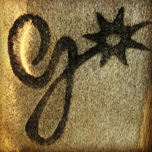 Black branding mark on tan hair-on cowhide — close-up