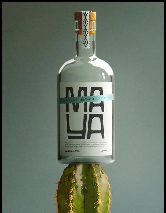 MAYA Blanco glass bottle balanced on cactus — minimalist product photo