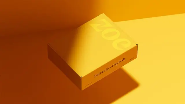 ZOE logo redesign — coral uppercase sans and white italic lowercase on mustard (Ragged Edg