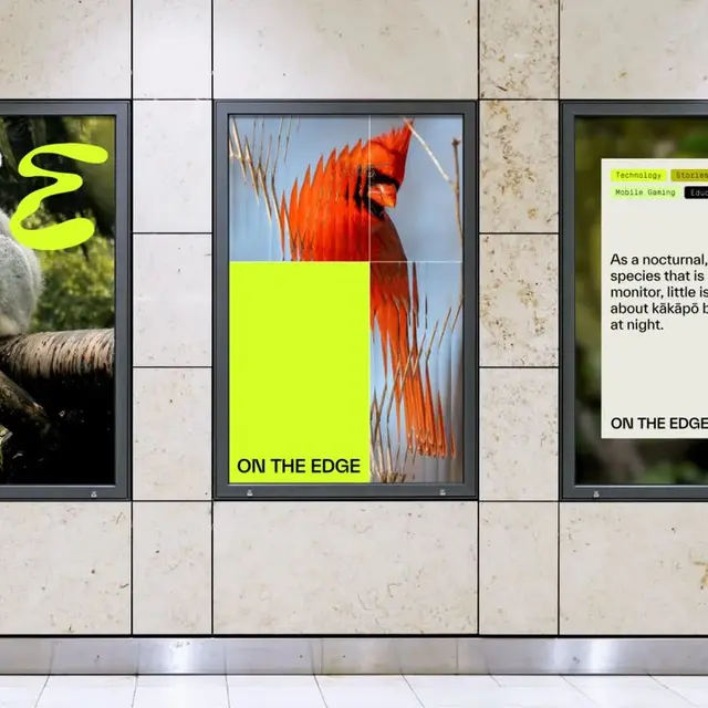 On The Edge rebrand — neon chartreuse biomorphic logo paired with frog photography