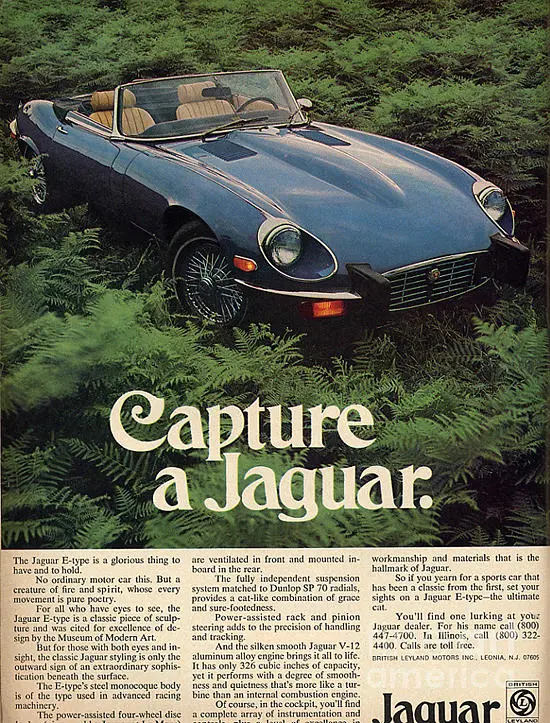 Vintage Jaguar E‑Type Print Advert — "Capture a Jaguar" (R. Muirhead / Vintage Collectates