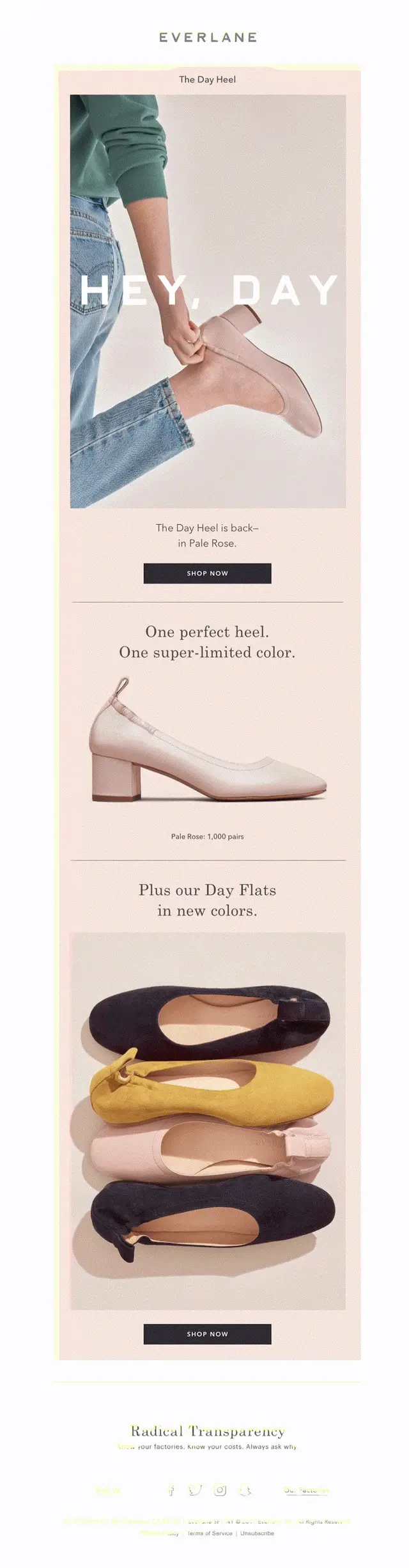 Millennial Pink Workspace Flat Lay — Email Design Inspiration