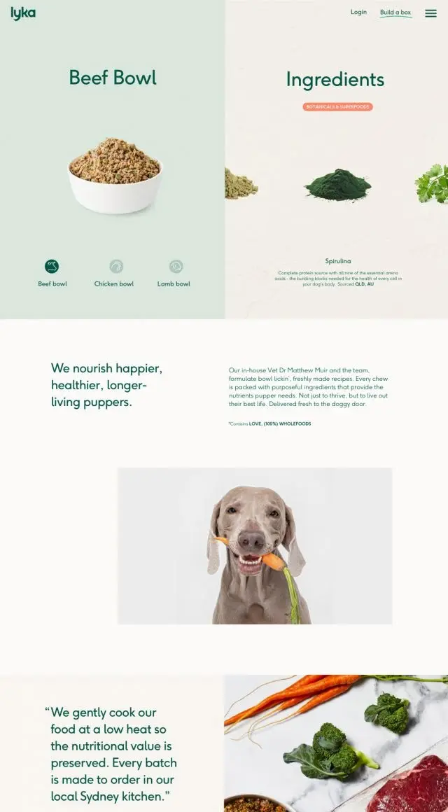 Lyka — Brand identity by Made Together