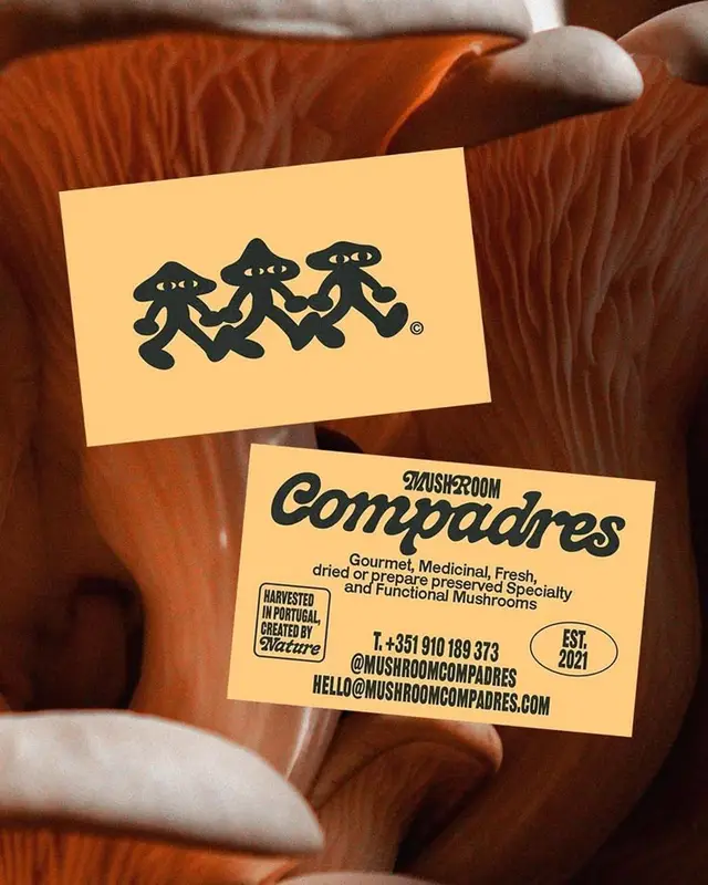Mushroom Compadres business cards on fresh orange oyster mushrooms