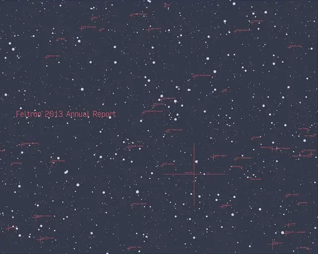 Feltron 2013 Annual Report — starfield infographic poster