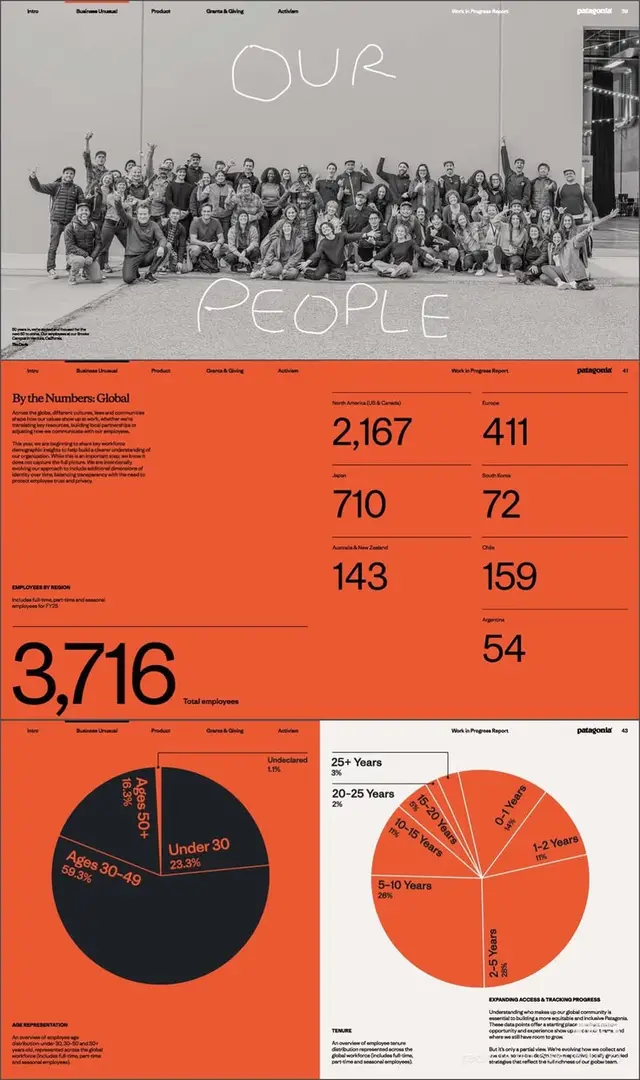 Patagonia 'Our People' — employee demographics spread (Work in Progress Report)