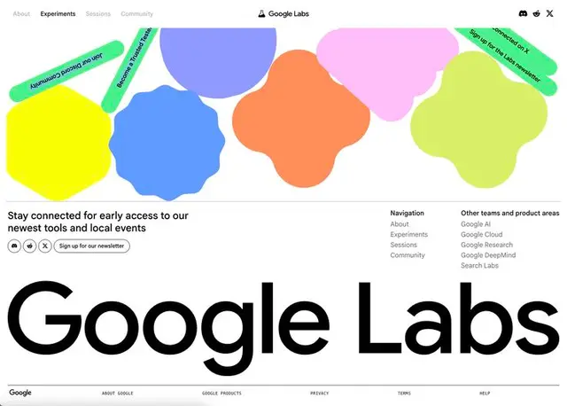 Google Labs landing page — oversized logotype with colorful organic blobs and newsletter C