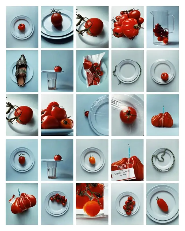 25-panel still-life grid of tomatoes on plates and glassware