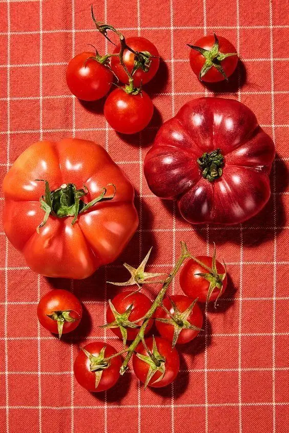 Flat‑lay heirloom and cherry tomatoes on red checked tablecloth