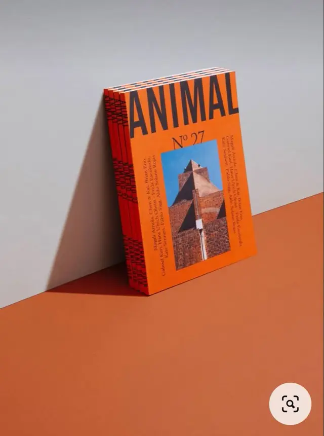 ANIMAL magazine No. 27 — orange cover with pyramid photo