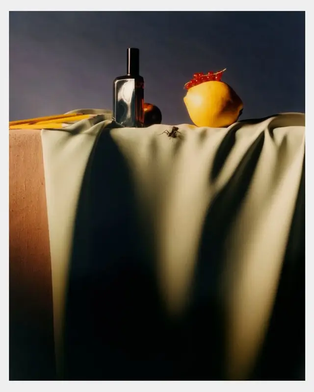 Moody still life with reflective bottle, yellow fruit and spider