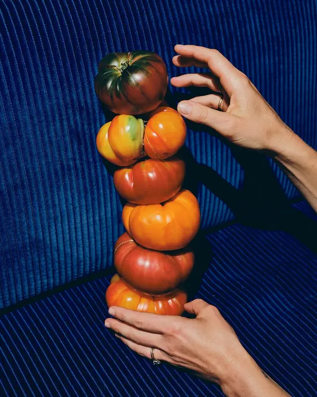 Stacked heirloom tomatoes on blue corduroy with hands