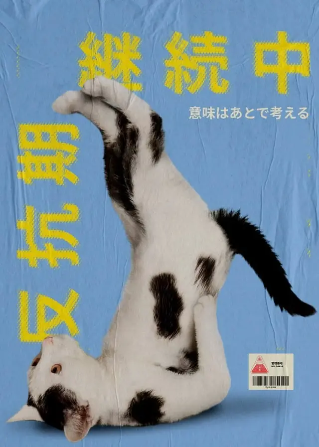 Japanese poster — black-and-white cat with yellow '継続中 / 反抗期' typography