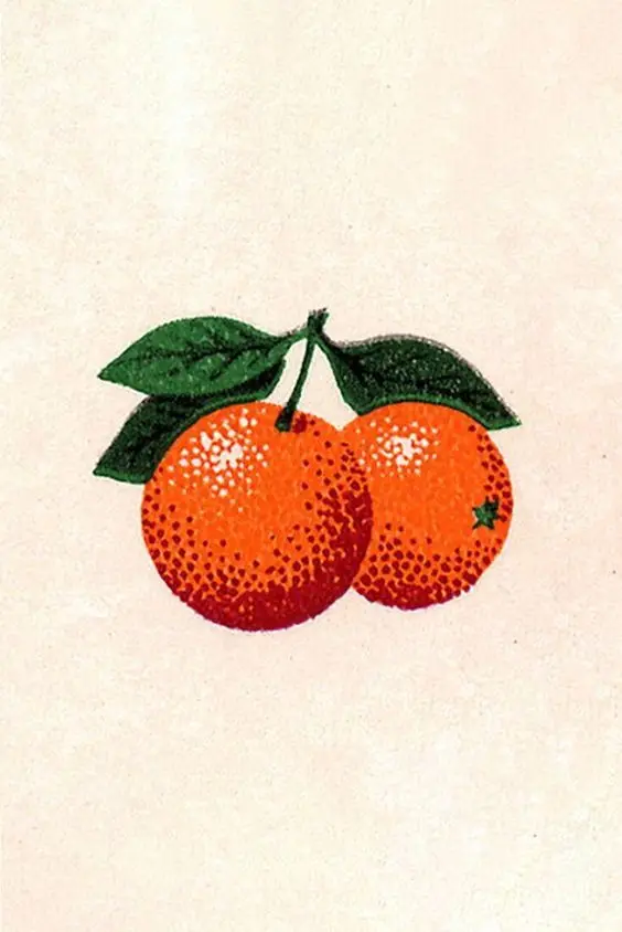 Retro Halftone Oranges Illustration on Textured Paper