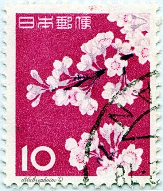 Japanese 10-denomination sakura postage stamp — magenta floral design
