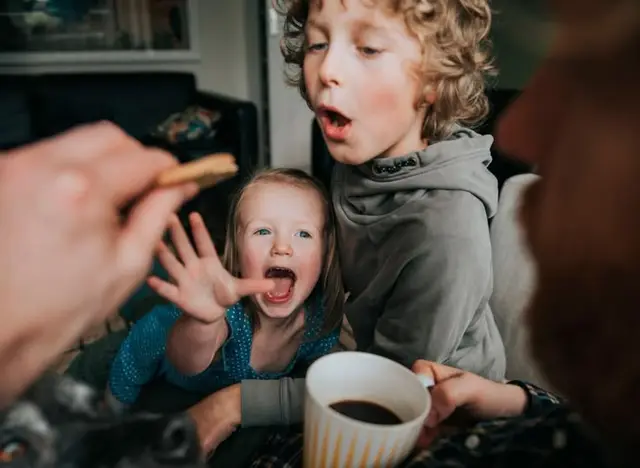 Public image from Pinterest (736 x 538)