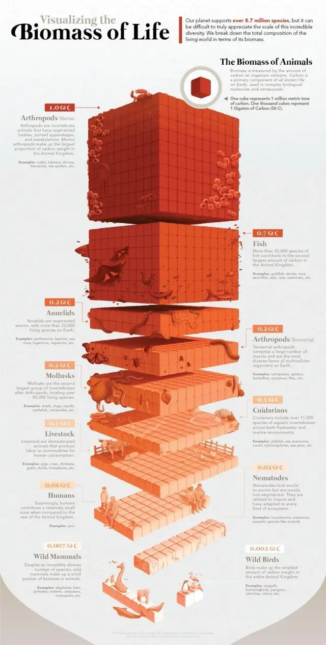 Public image from Pinterest (736 x 1455)