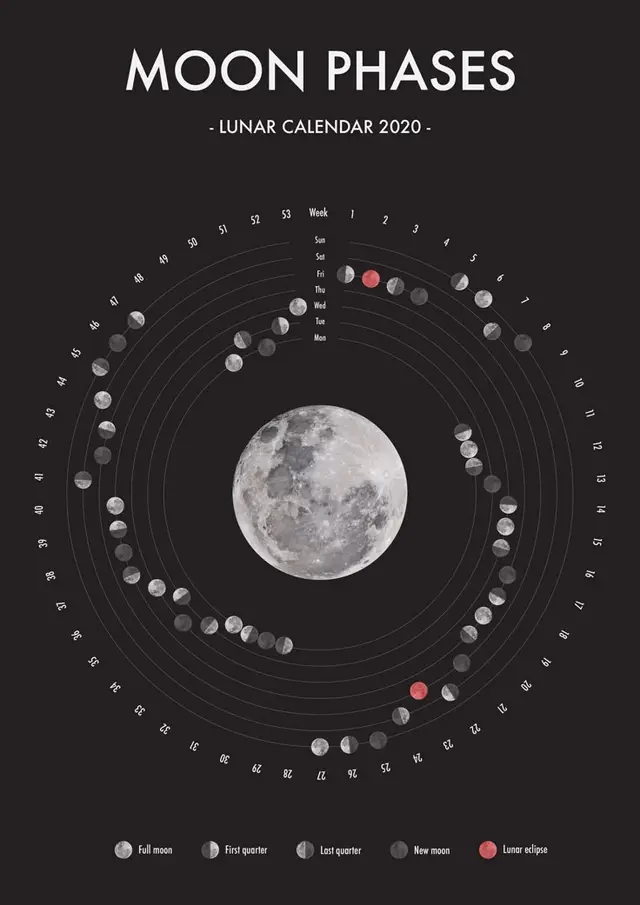 Public image from Pinterest (736 x 1041)